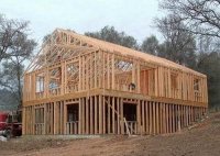 structura din lemn de rasinoase 4225